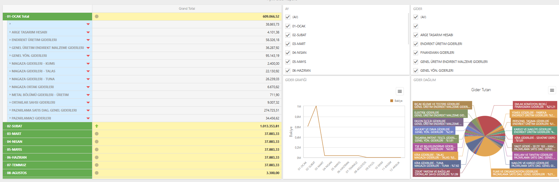 Aylık gider raporu dashboard